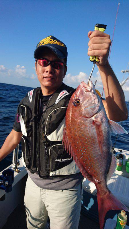 ARCADIAⅡ (アルカディアⅡ) 釣果