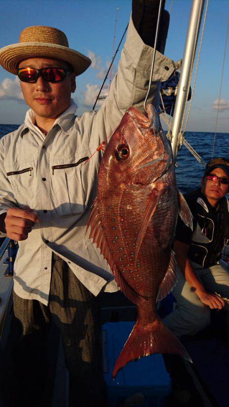 ARCADIAⅡ (アルカディアⅡ) 釣果