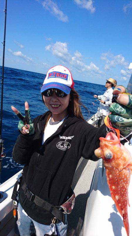 ARCADIAⅡ (アルカディアⅡ) 釣果