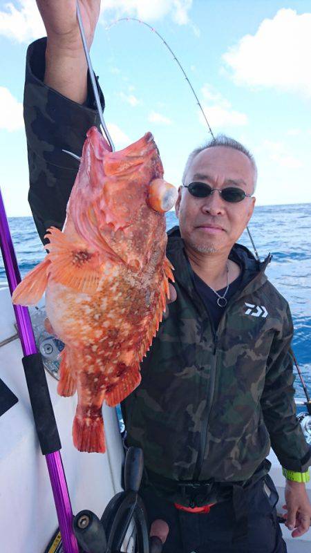 ARCADIAⅡ (アルカディアⅡ) 釣果