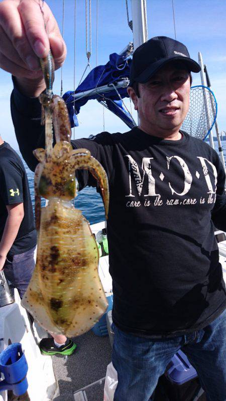 ARCADIAⅡ (アルカディアⅡ) 釣果