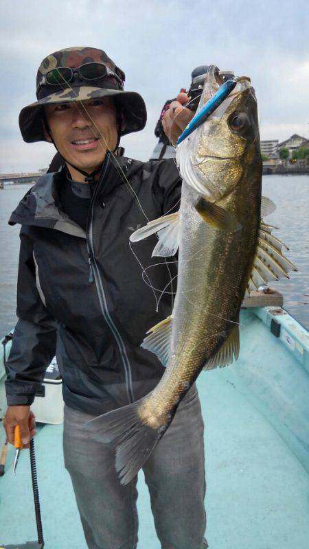 アマテラス 釣果