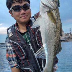 アマテラス 釣果