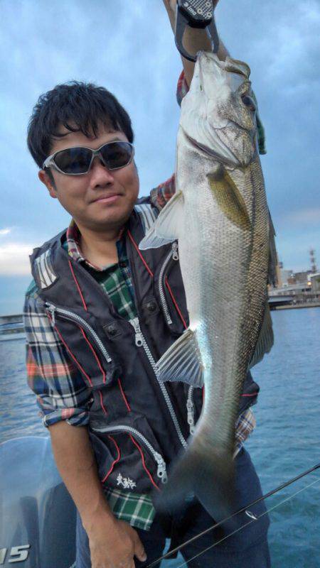 アマテラス 釣果