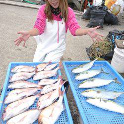 第三共栄丸 釣果