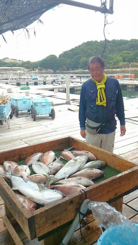 海の釣堀 海恵 釣果