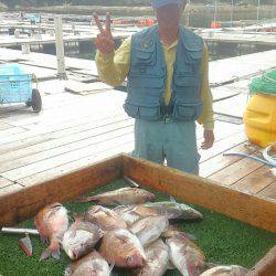 海の釣堀 海恵 釣果