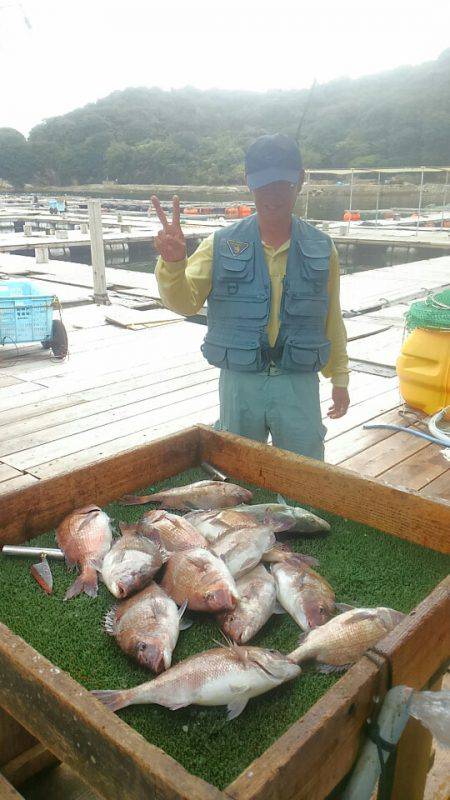 海の釣堀 海恵 釣果