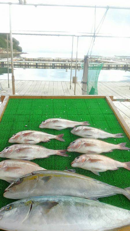 海の釣堀 海恵 釣果
