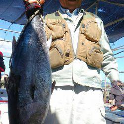 海の釣堀 海恵 釣果