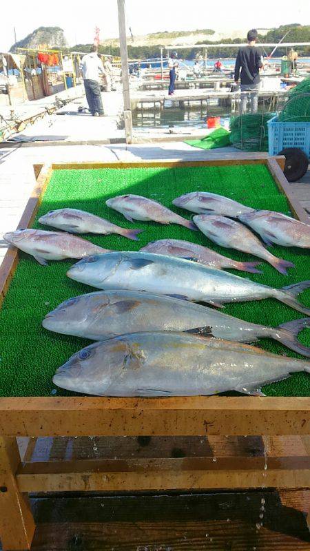 海の釣堀 海恵 釣果