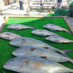 海の釣堀 海恵 釣果