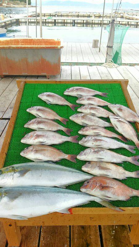 海の釣堀 海恵 釣果