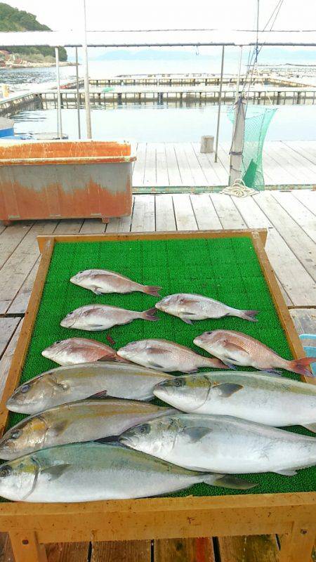 海の釣堀 海恵 釣果