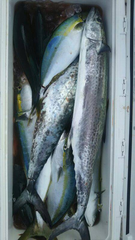 サンマリン 釣果