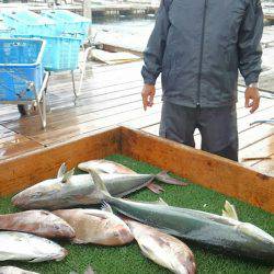 海の釣堀 海恵 釣果