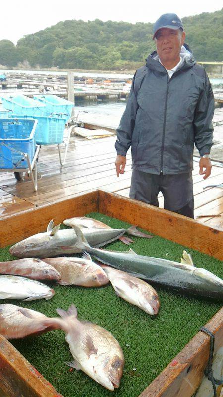 海の釣堀 海恵 釣果