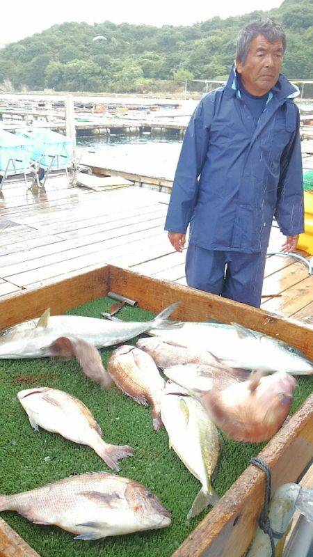 海の釣堀 海恵 釣果