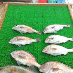 海の釣堀 海恵 釣果