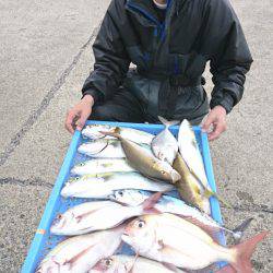 第三共栄丸 釣果