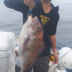 ブルドック 釣果