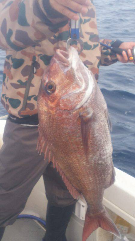 ブルドック 釣果