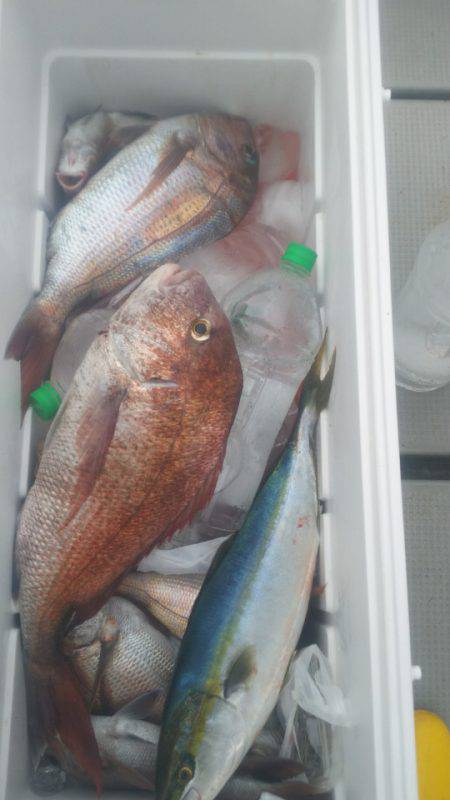 ブルドック 釣果