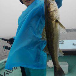 アマテラス 釣果