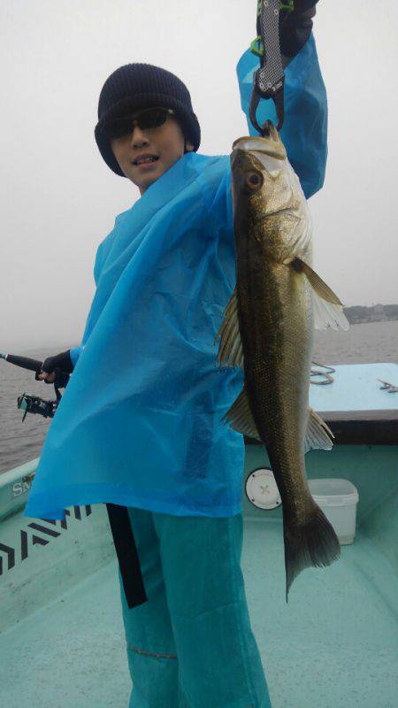 アマテラス 釣果