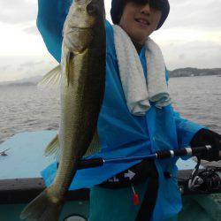 アマテラス 釣果