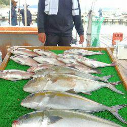 海の釣堀 海恵 釣果