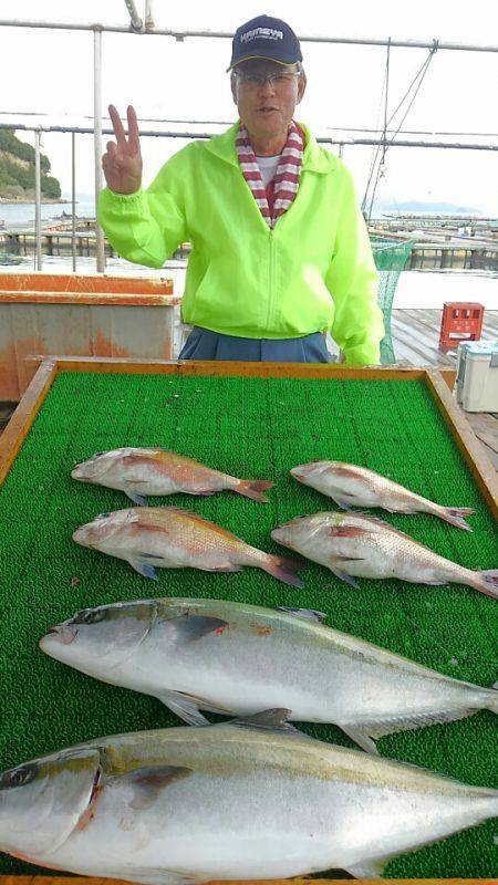 海の釣堀 海恵 釣果