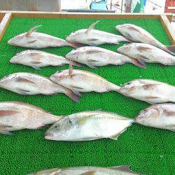 海の釣堀 海恵 釣果