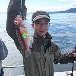 ARCADIAⅡ (アルカディアⅡ) 釣果