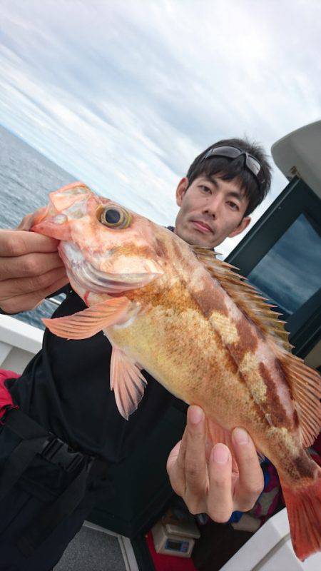 ARCADIAⅡ (アルカディアⅡ) 釣果