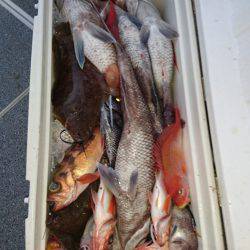 ARCADIAⅡ (アルカディアⅡ) 釣果