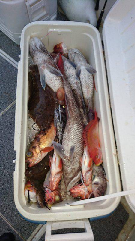 ARCADIAⅡ (アルカディアⅡ) 釣果