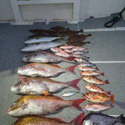 ARCADIAⅡ (アルカディアⅡ) 釣果