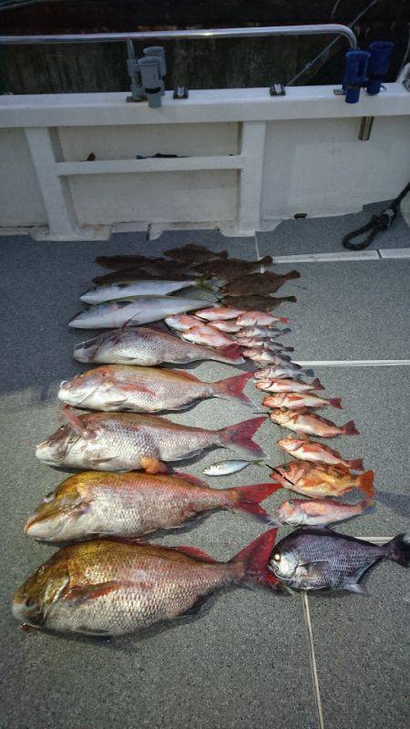 ARCADIAⅡ (アルカディアⅡ) 釣果