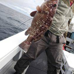 第二龍勢丸 釣果