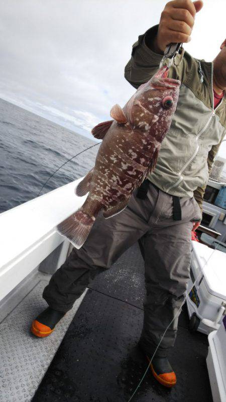 第二龍勢丸 釣果