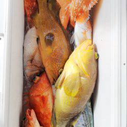 第二龍勢丸 釣果