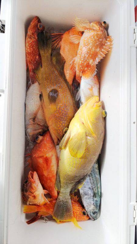 第二龍勢丸 釣果