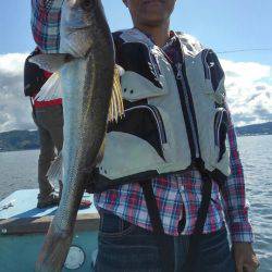 アマテラス 釣果