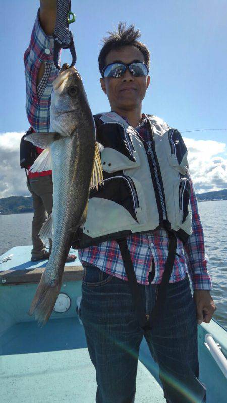 アマテラス 釣果