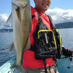 アマテラス 釣果