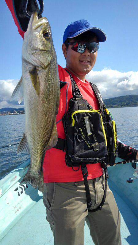 アマテラス 釣果