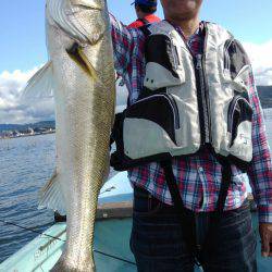 アマテラス 釣果