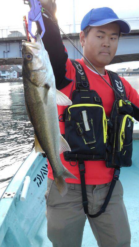 アマテラス 釣果