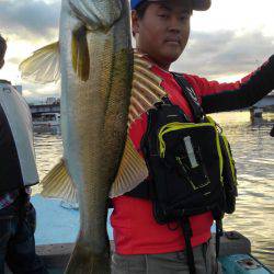 アマテラス 釣果